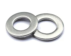 Stainless Steel 316_316LPlain Washer